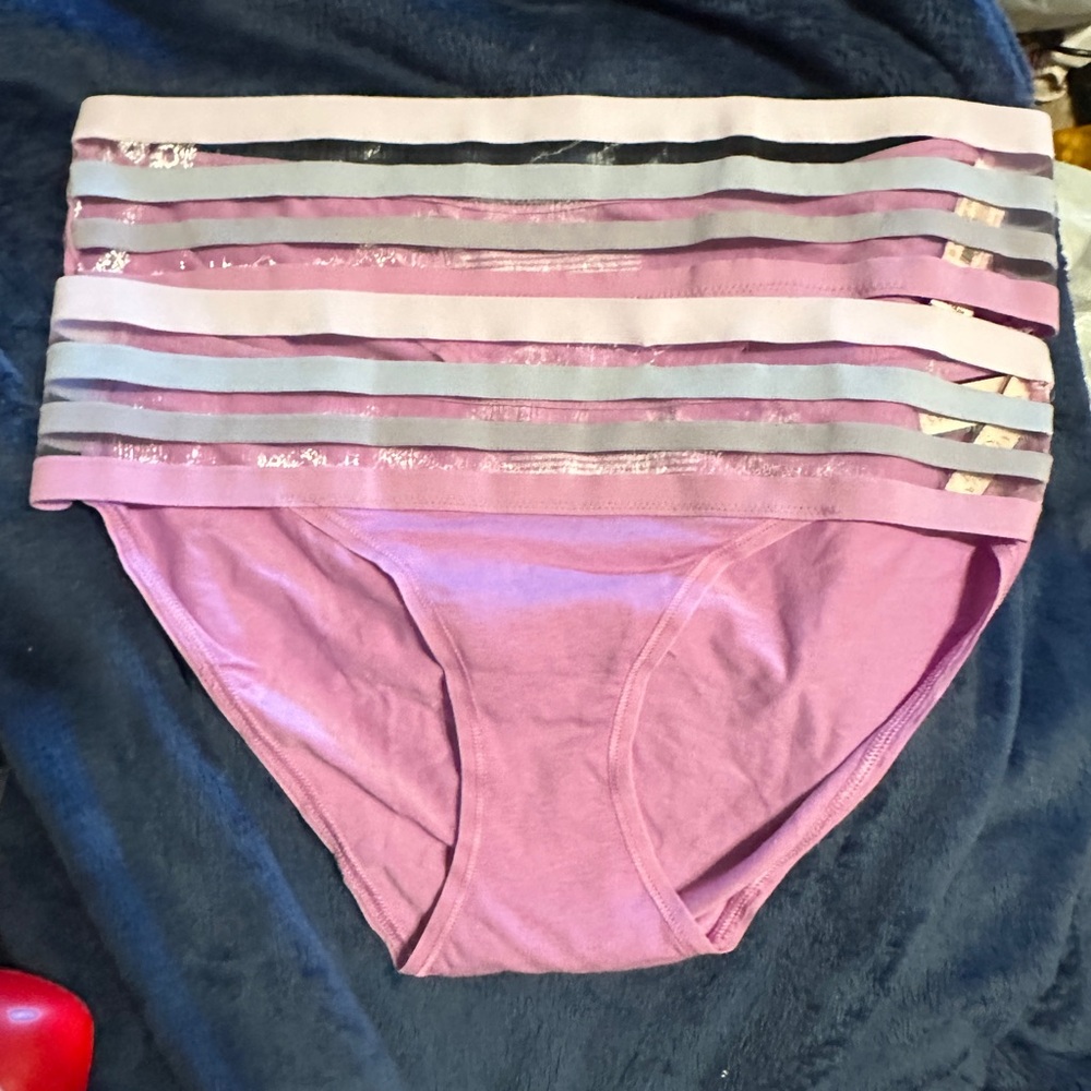2 nwt lavender mesh striped band hipster/hiphugger panties size Medium
